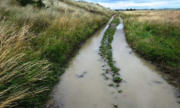 Topographic wetness