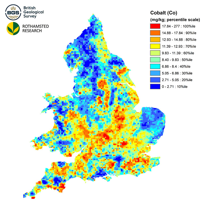 Cobalt concentrations map